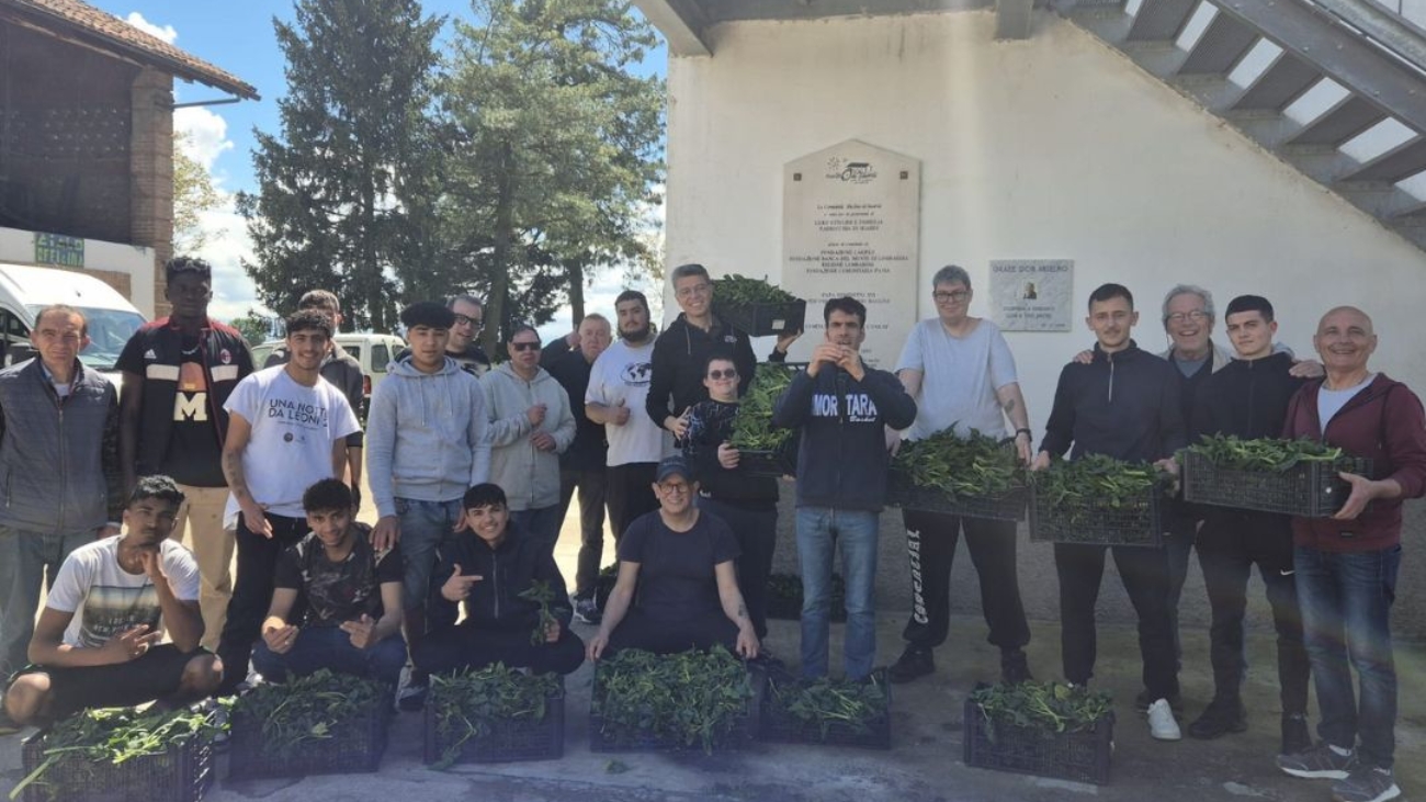 Spinaci_ComeNoi_Comunitàmulino_ProgettoSole